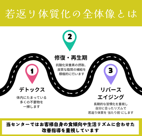 腸活におけるロードマップの概要