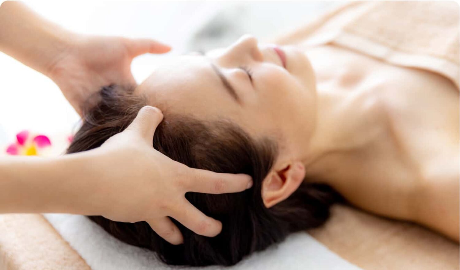 ～手技道～　腹部＋頭部セット