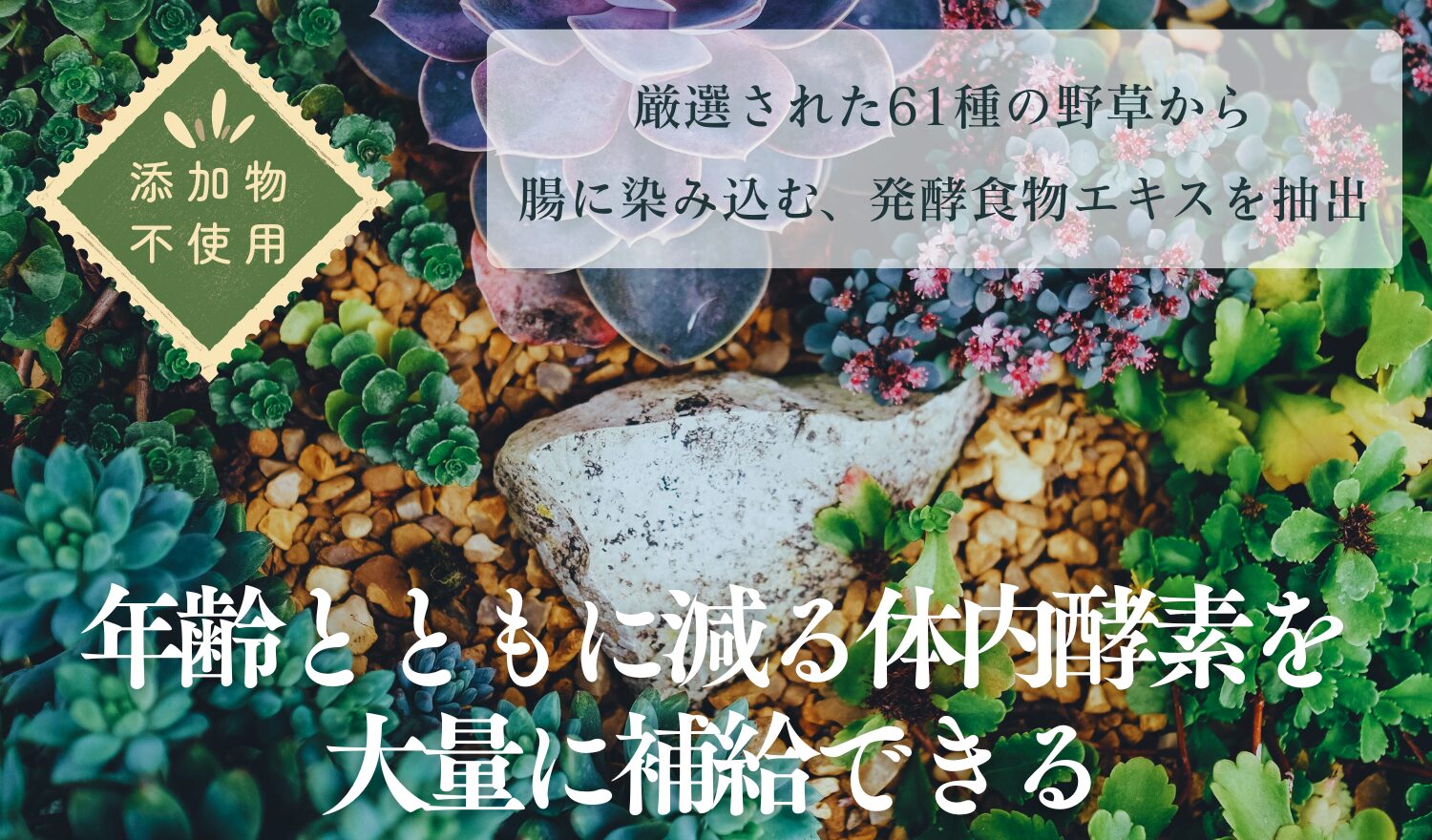 体質改善をサポートする酵素ドリンク